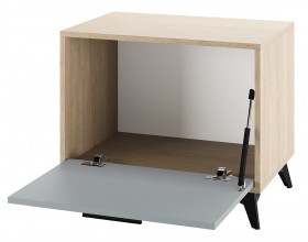 ЕВА Тумба 600 1С Дуб Экспресив Фрост