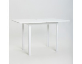 Стол поворотно-откидной «Вильфор» 60*100см(белый)