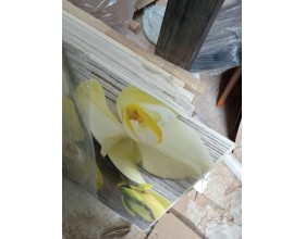 Скинали - DS 114