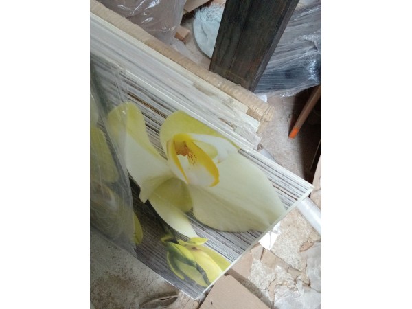 Скиналь - DS 114