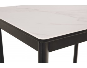 Стол обеденный Тет-а-Тет  КерамикаTOP ALPINE WHITE /Металл черный