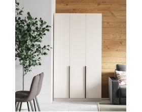 Рим 120 шкаф распашной 3Д 01 Кашемир