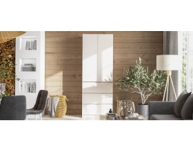 Идея 80 шкаф распашной 2Д+ящики Кашемир