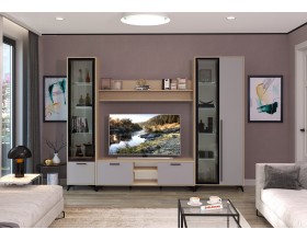 Гостиная "ЕВА" композиция №4