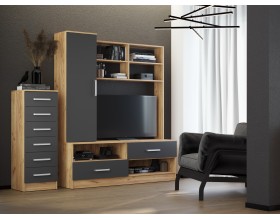 Гостиная Мартина центральная секция Графит, Дуб Крафт