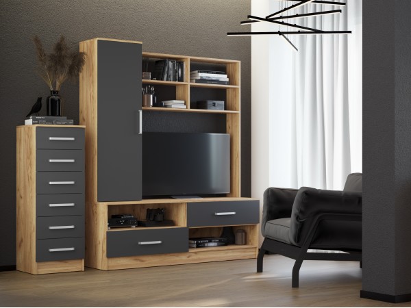 Гостиная Мартина центральная секция Графит, Дуб Крафт