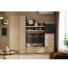 Гостиная Асти Вариант №2 Дуб сонома, Венге