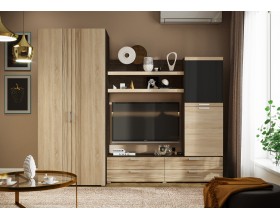 Гостиная Асти Вариант №2 Дуб сонома, Венге