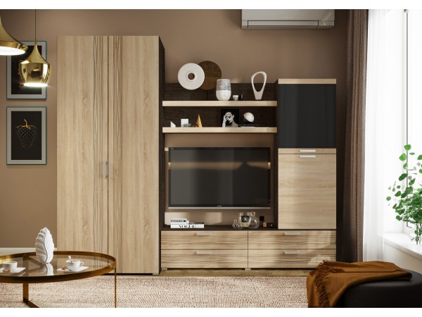 Гостиная Асти Вариант №2 Дуб сонома, Венге