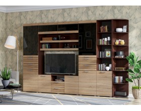 Гостиная Асти Вариант №4 Дуб сонома, Венге