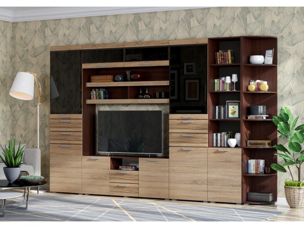 Гостиная Асти Вариант №4 Дуб сонома, Венге