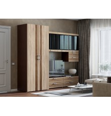 Гостиная Асти Вариант №5 Дуб сонома, Венге