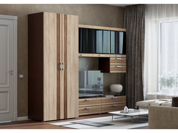 Гостиная Асти Вариант №5 Дуб сонома, Венге