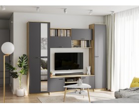 Гостиная Герда дуб крафт серый/серый графит