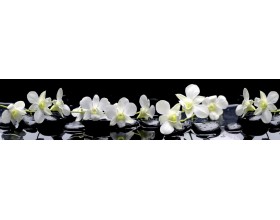 Скиналь - КМ 35 (VIP 08)