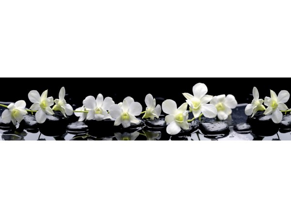 Скиналь - КМ 35 (VIP 08)