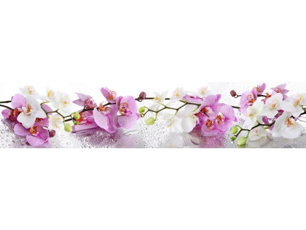 Скиналь - КМ 47 (VIP 09)