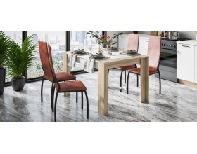 Асти стул 2 шт Экокожа табак, Черный