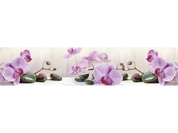 Скиналь - КМ 367 (VIP 50)