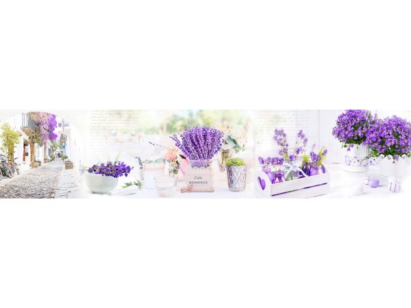 Скиналь - КМ 250 (TOP 16)