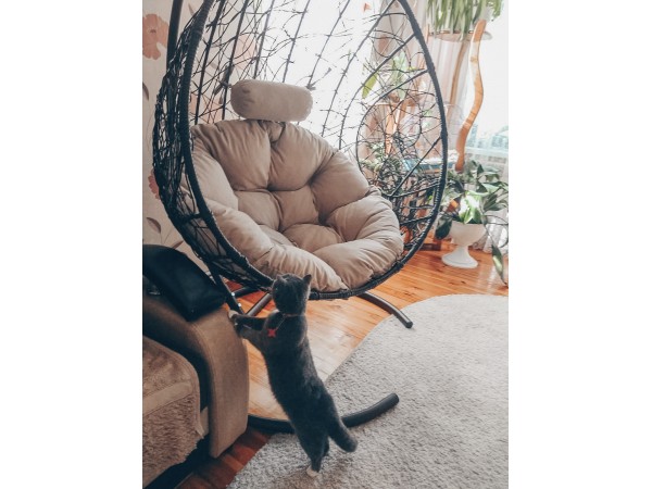 Подвесное кресло Кокон Капля Стандарт