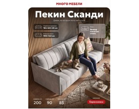 Пекин Сканди диван Велюр Монолит сталь