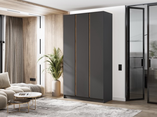 Келвин Шкаф 3-створчатый 1200 Графит, Графит вставка крафт