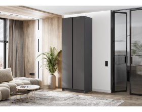 Келвин Шкаф 2-створчатый 800 Графит, Графит вставка чёрная