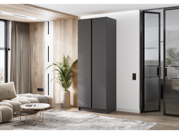 Келвин Шкаф 2-створчатый 800 Графит, Графит вставка чёрная