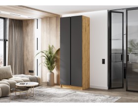 Келвин Шкаф 2-створчатый 800 Графит, Дуб Крафт вставка чёрная