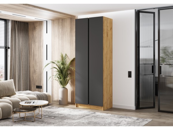 Келвин Шкаф 2-створчатый 800 Графит, Дуб Крафт вставка чёрная