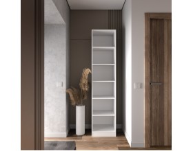 Шкаф Лора (Модерн) для одежды Ш450 белый