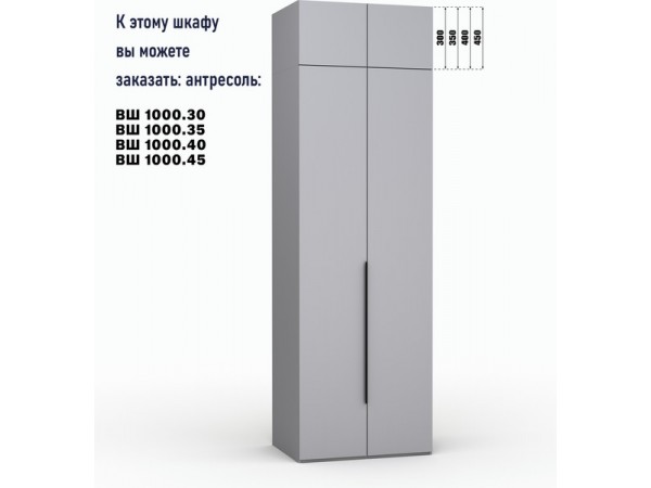 Шкаф Лора (Модерн) для одежды Ш 1000 серый шифер
