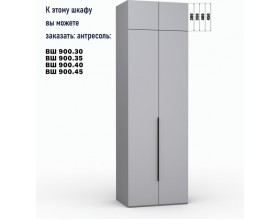 Шкаф Лора (Модерн) для одежды Ш 900.3 серый шифер