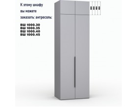 Шкаф Лора (Модерн) для одежды Ш 1000.3 серый шифер