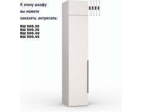 Шкаф Лора (Модерн) для одежды Ш 500.2 кашемир