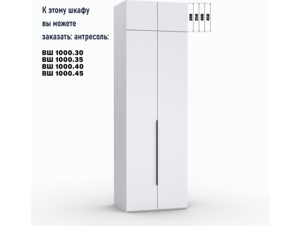 Шкаф Лора (Модерн) для одежды Ш 1000 белый