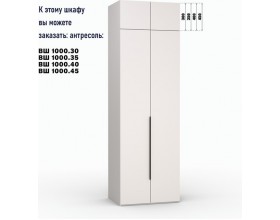 Шкаф Лора (Модерн) для одежды Ш 1000.3 кашемир