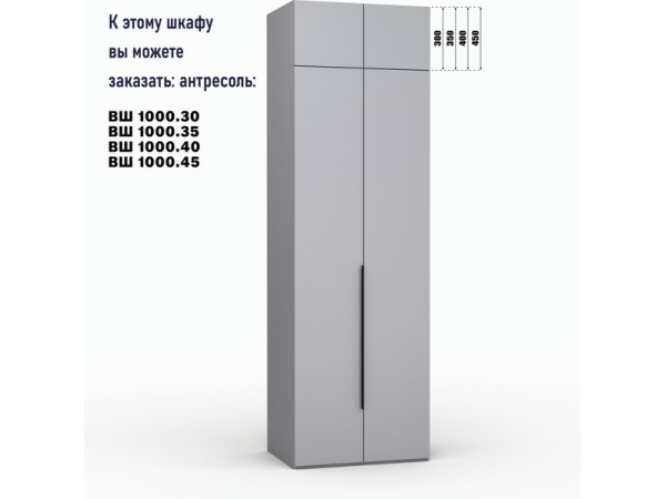 Шкаф Лора (Модерн) для одежды Ш 1000.2 серый шифер