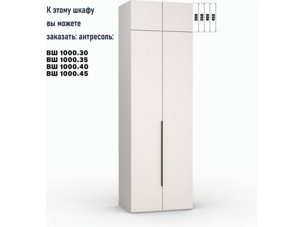 Шкаф Лора (Модерн) для одежды Ш 1000.2 кашемир