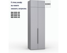 Шкаф Лора (Модерн) для одежды Ш 800.3 серый шифер